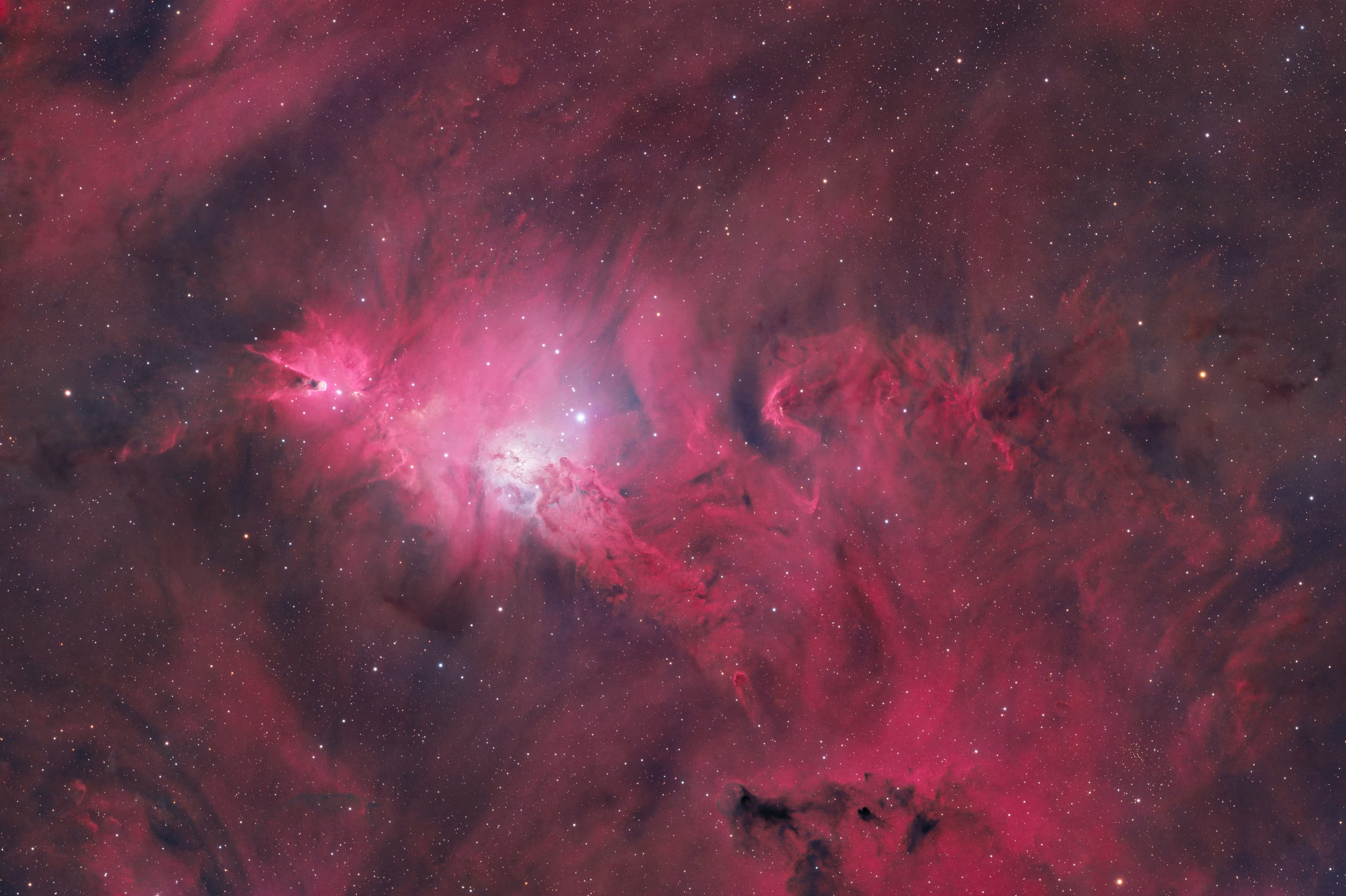 What Is a Bortle 1 Sky and Why It Changes Everything for Astrophotography
