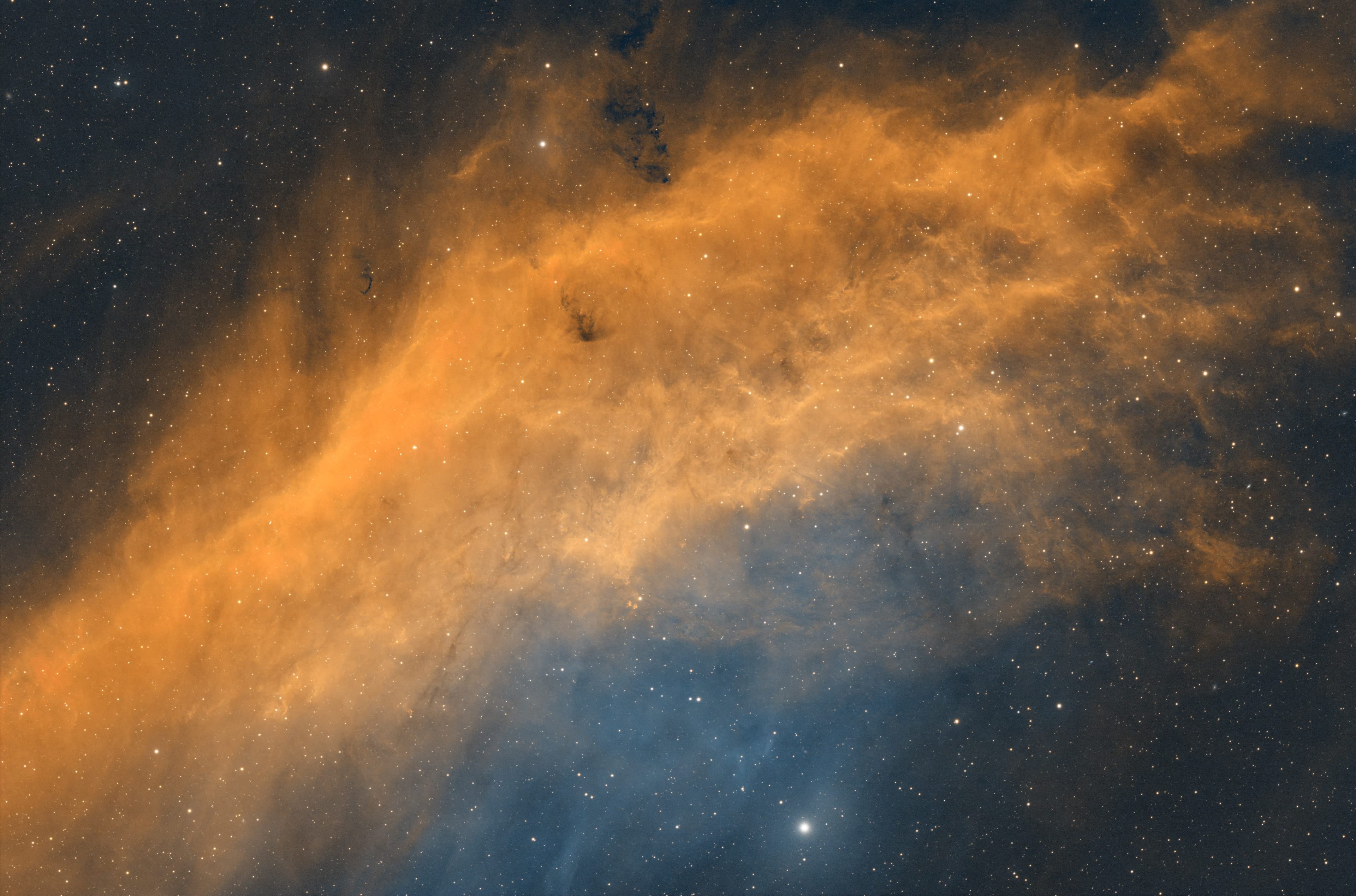 California Nebula (NGC 1499)